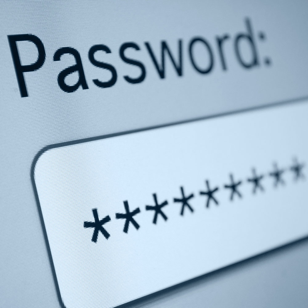 Closeup of Password Box in Internet Browser